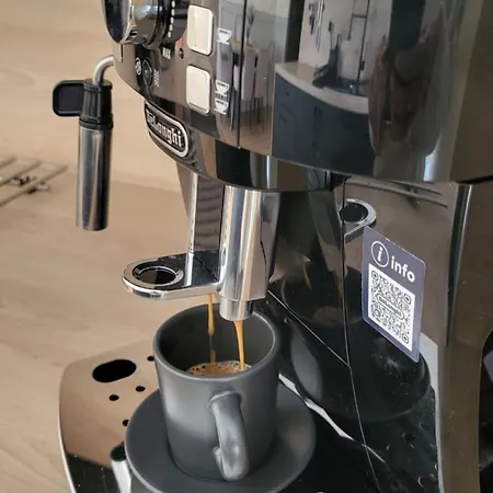 W Sercu Miasta Waldenburg