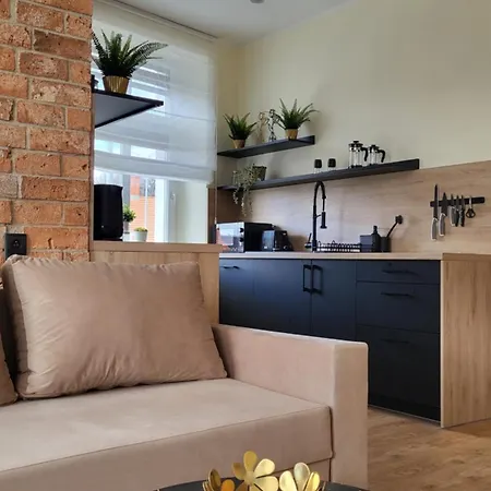 W Sercu Miasta Apartment